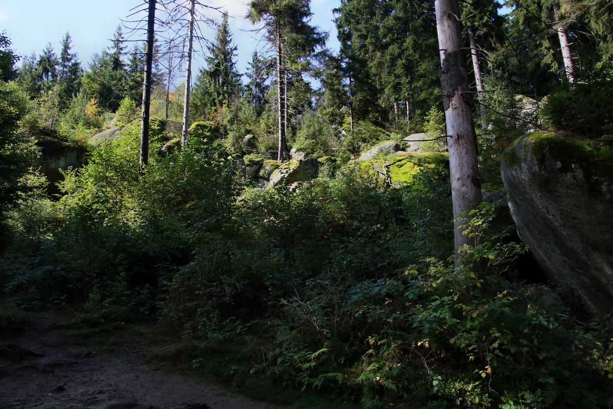 2016_09_06_027805p_Bildgr��e �ndern