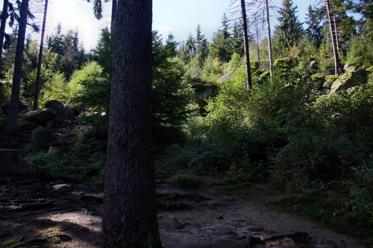 2016_09_06_027806p_Bildgr��e �ndern