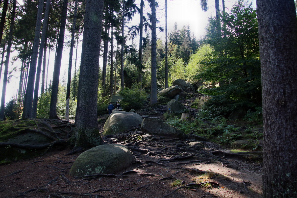 2016_09_06_027809p_Bildgr��e �ndern