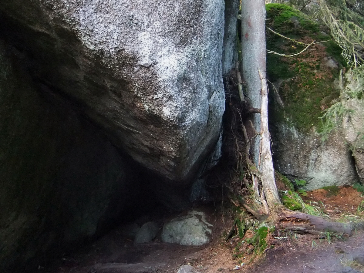 DSCF0390p_Bildgr��e �ndern