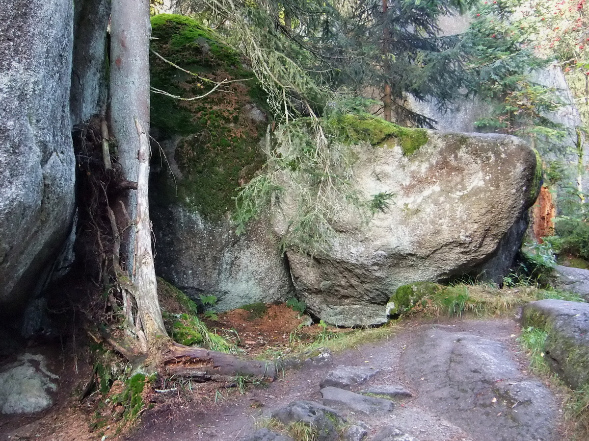 DSCF0391p_Bildgr��e �ndern