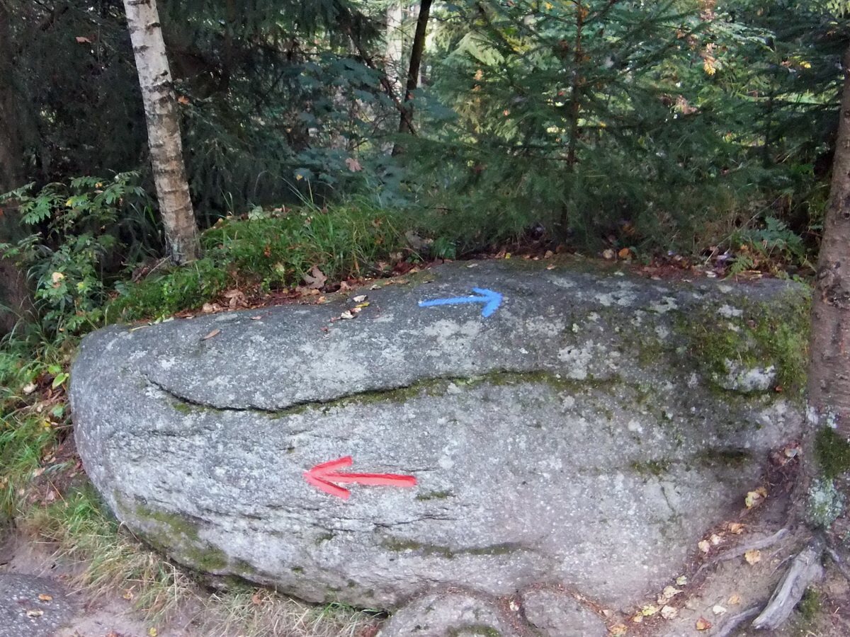 DSCF0392p_Bildgr��e �ndern