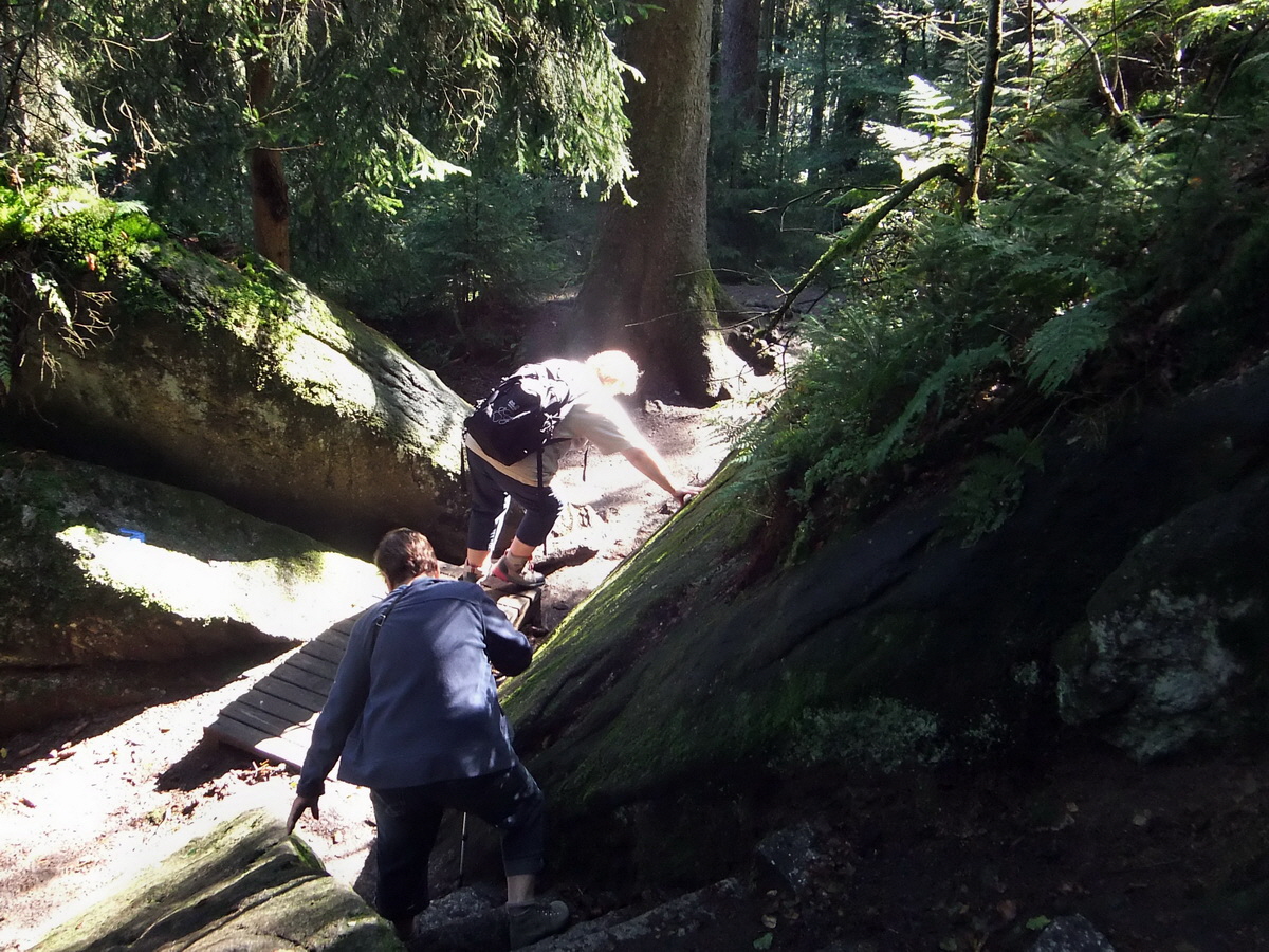 DSCF0407p_Bildgr��e �ndern