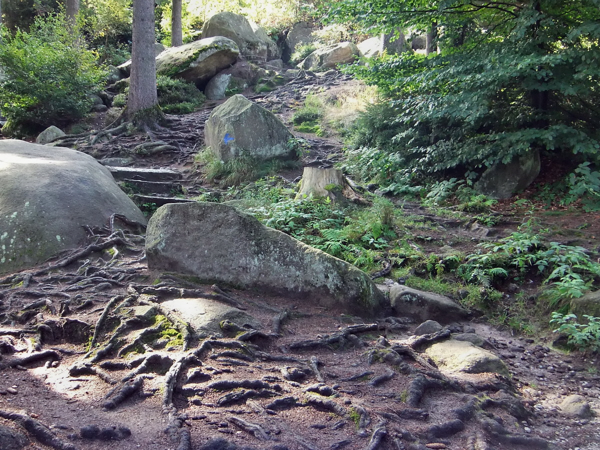 DSCF0416p_Bildgr��e �ndern