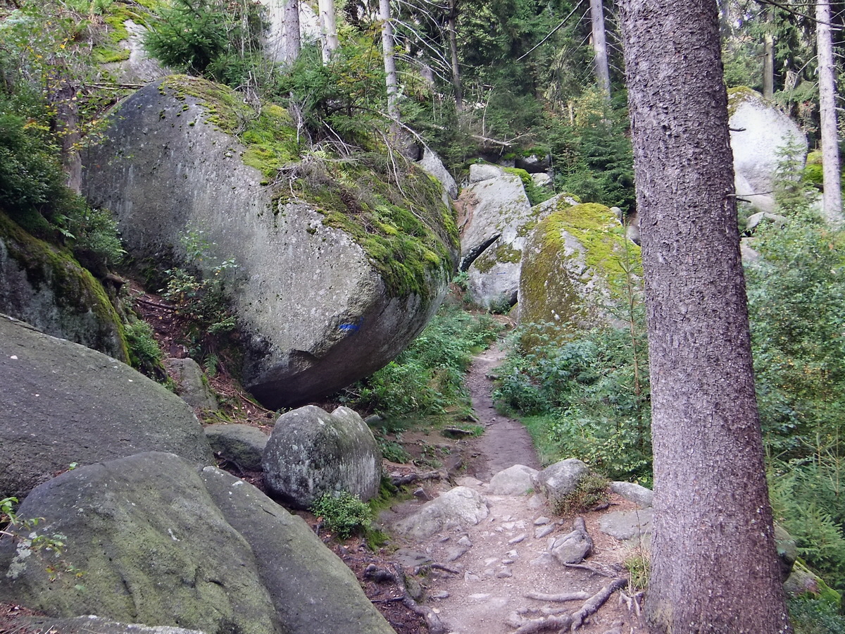 DSCF0419p_Bildgr��e �ndern