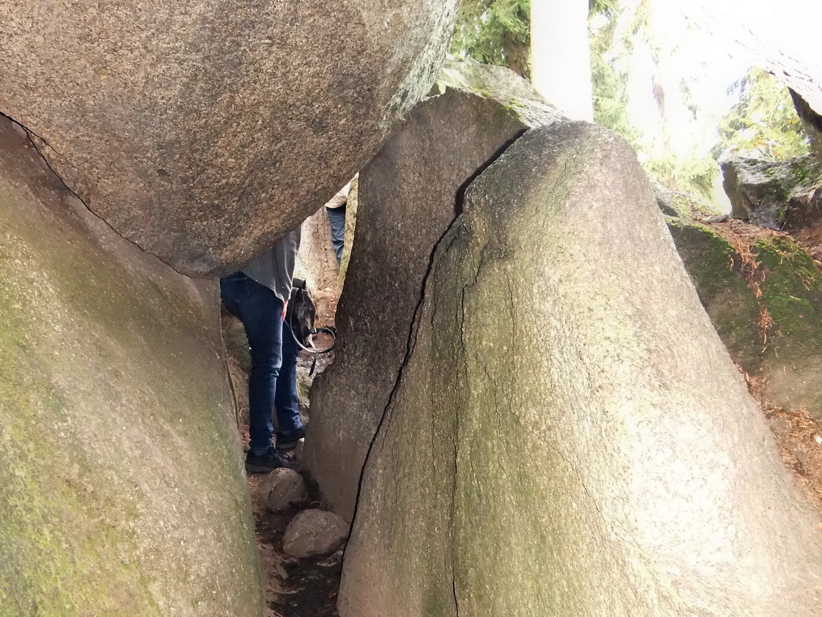 DSCF0430p_Bildgr��e �ndern