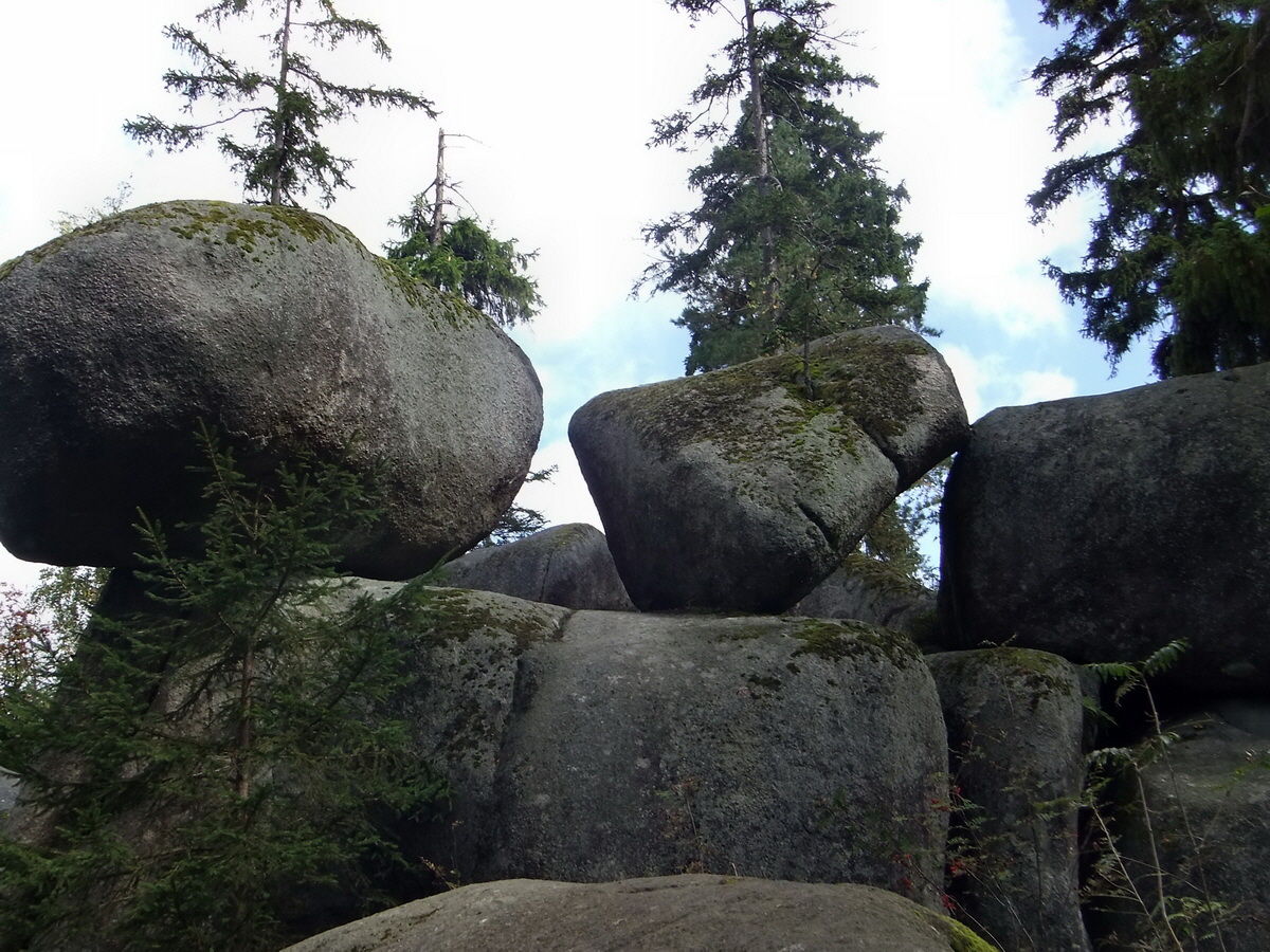 DSCF0458p_Bildgr��e �ndern