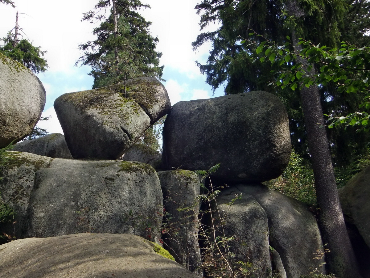 DSCF0459p_Bildgr��e �ndern