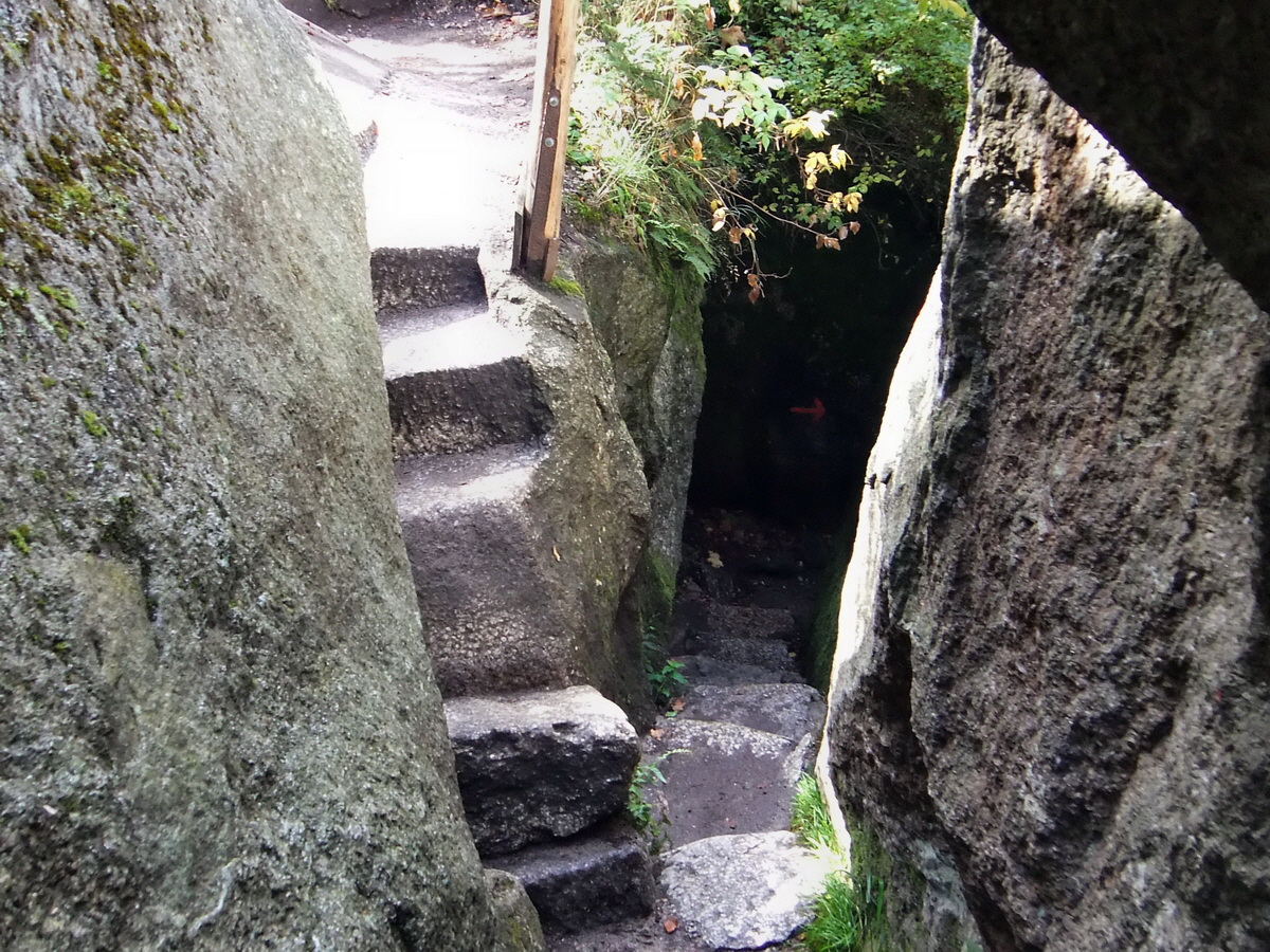 DSCF0463p_Bildgr��e �ndern