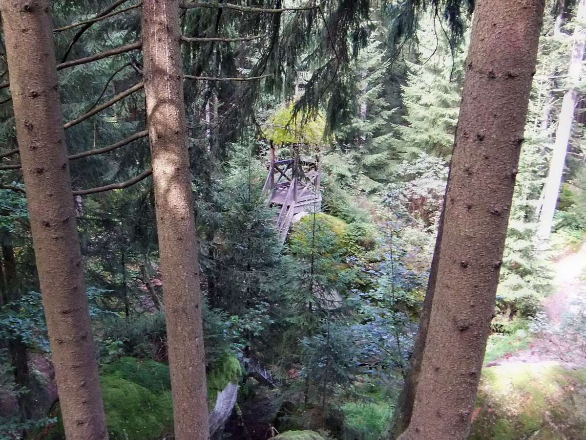 DSCF0486p_Bildgr��e �ndern