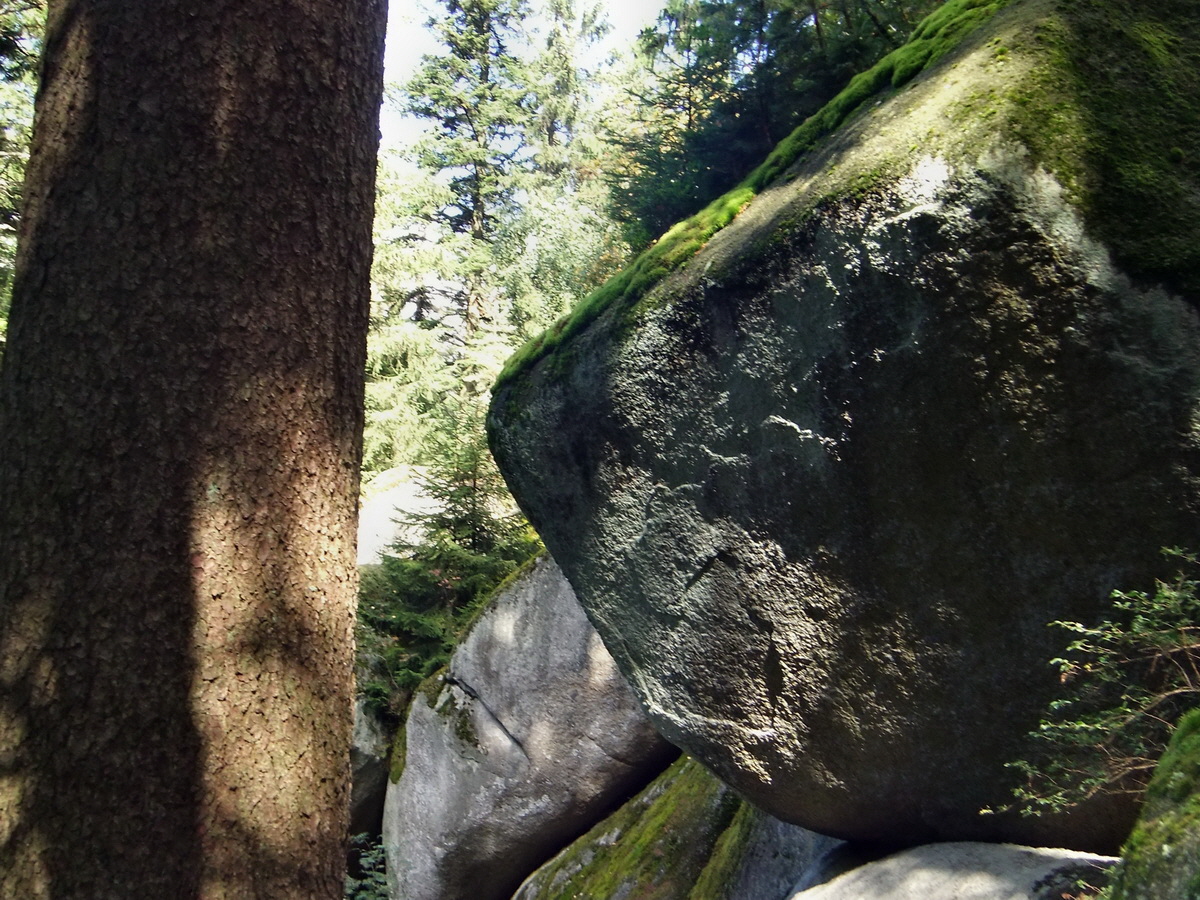 DSCF0490p_Bildgr��e �ndern