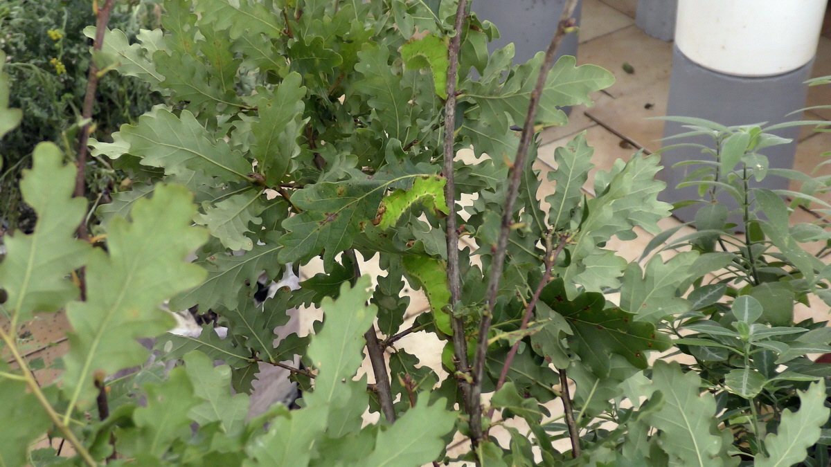 09-07-2016_143053(1)p_Bildgr��e �ndern