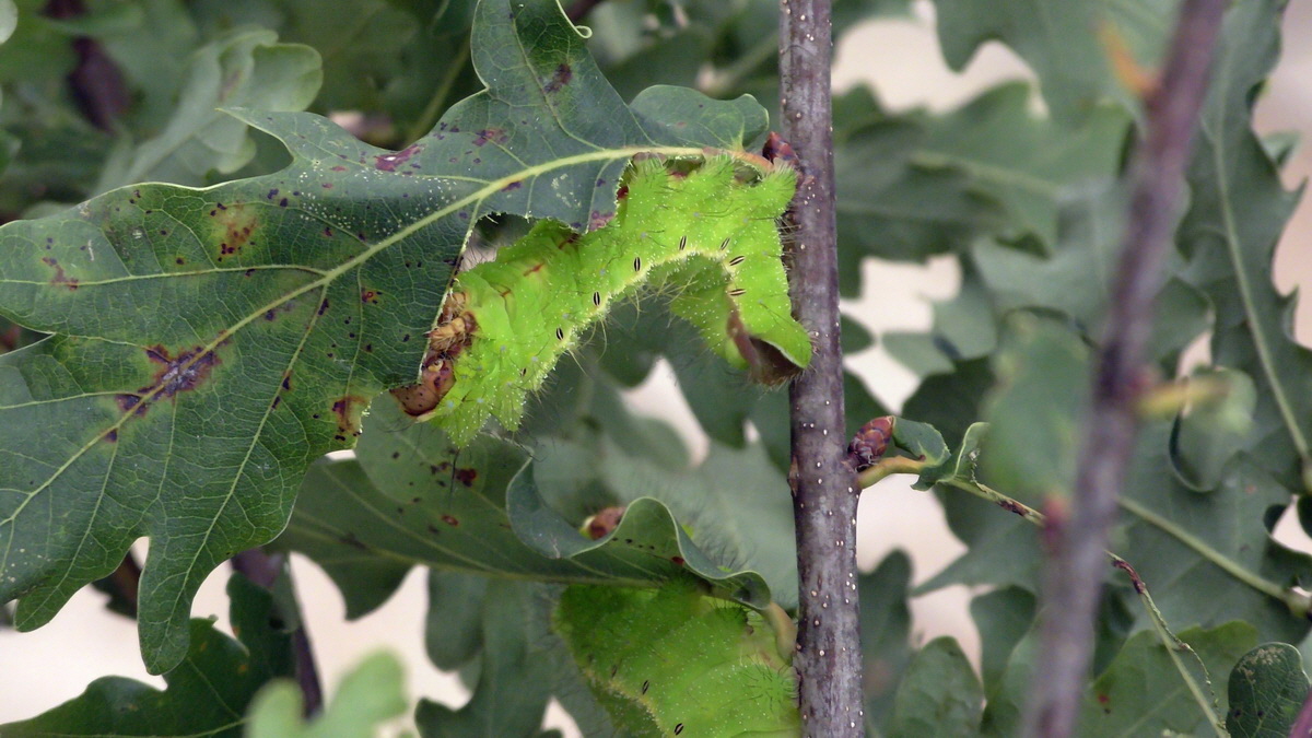 09-07-2016_143053p_Bildgr��e �ndern