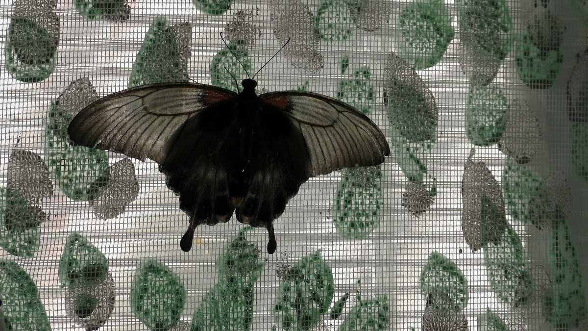 09-07-2016_143223p_Bildgr��e �ndern