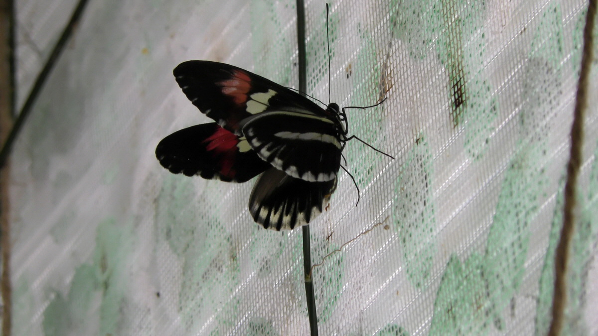 09-07-2016_143416p_Bildgr��e �ndern