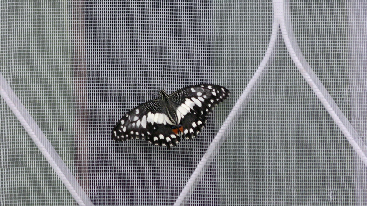 09-07-2016_143434p_Bildgr��e �ndern