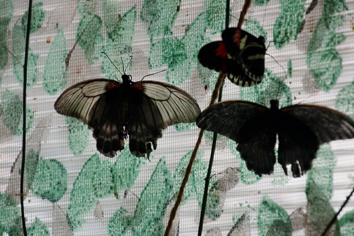 2016_09_07_027882p_Bildgr��e �ndern