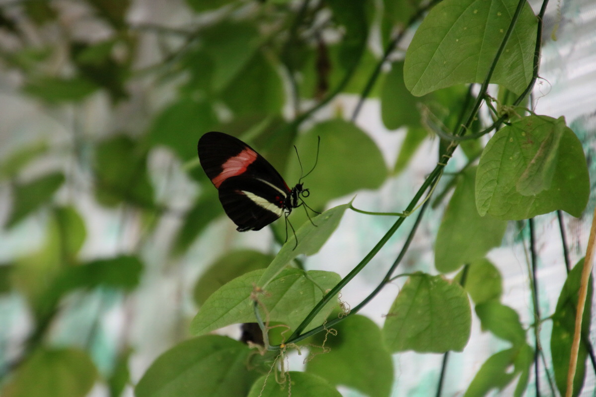 2016_09_07_027886p_Bildgr��e �ndern