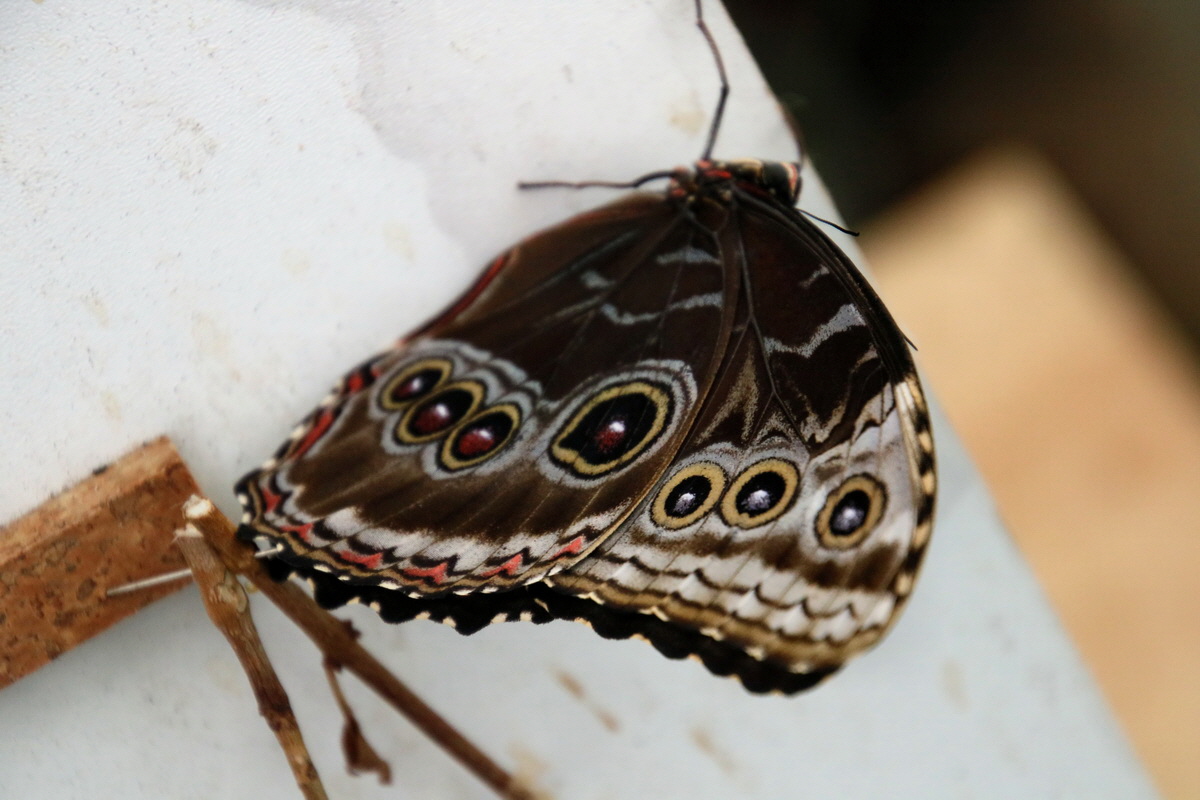 2016_09_07_027889p_Bildgr��e �ndern