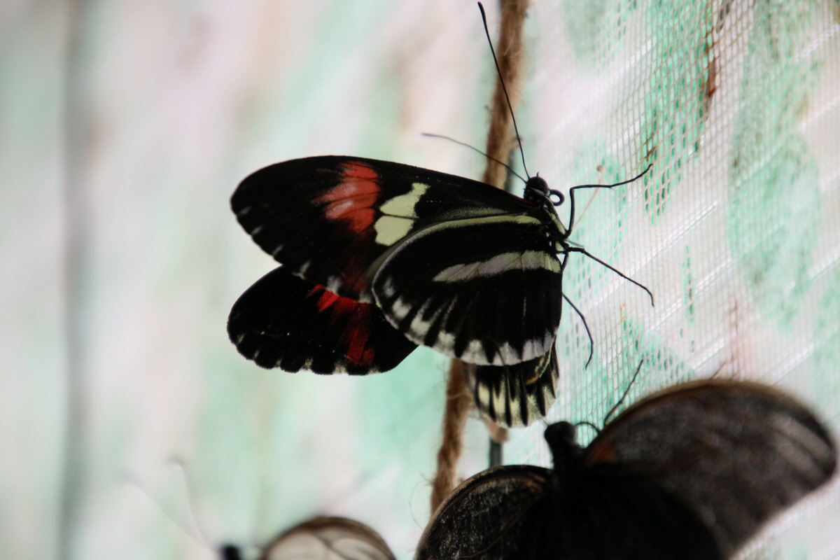 2016_09_07_027893p_Bildgr��e �ndern