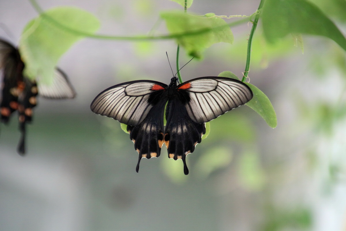 2016_09_07_027899p_Bildgr��e �ndern