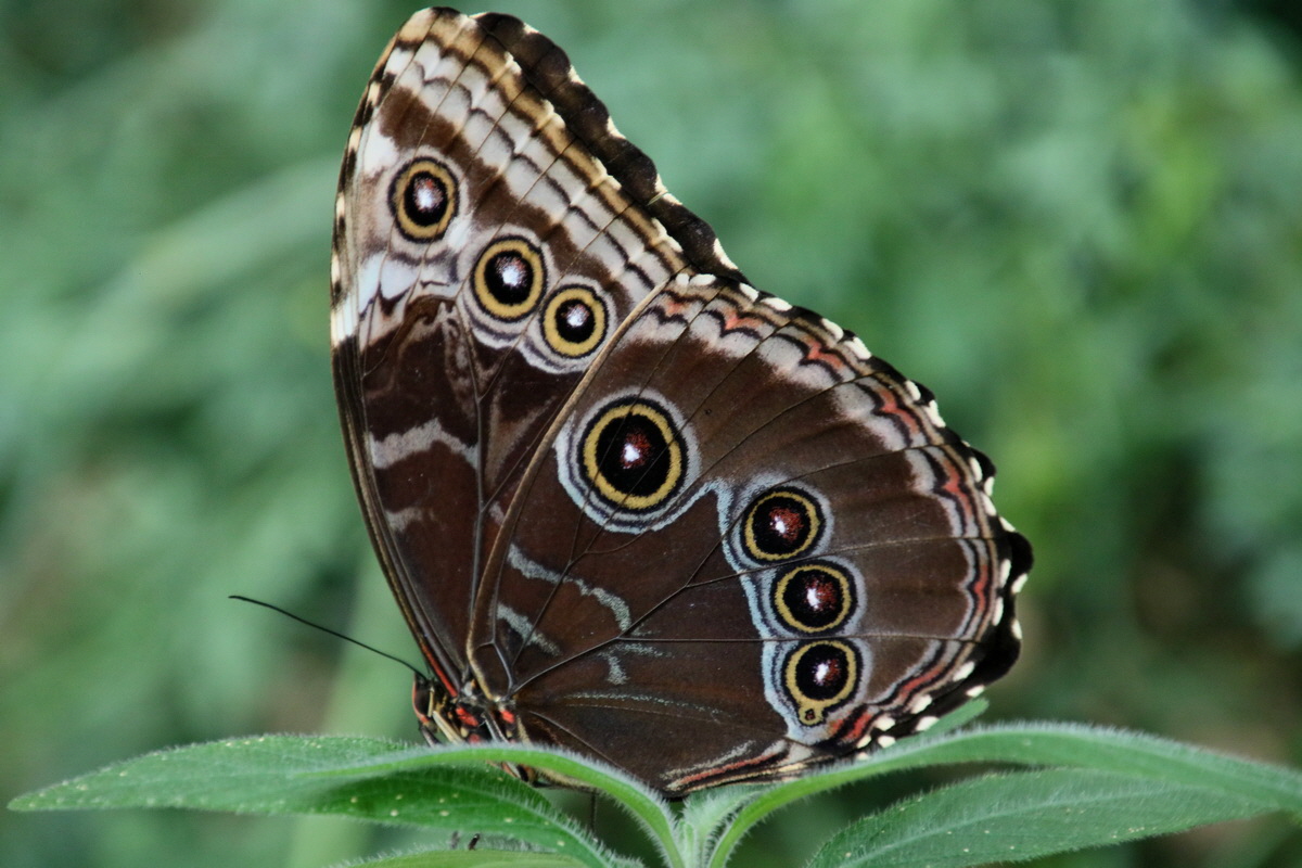 2016_09_07_027905p_Bildgr��e �ndern