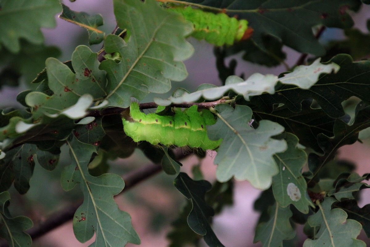 2016_09_07_027918p_Bildgr��e �ndern