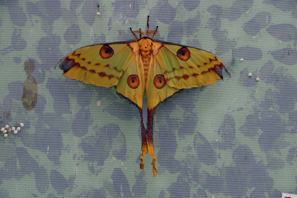 2016_09_07_027924p_Bildgr��e �ndern