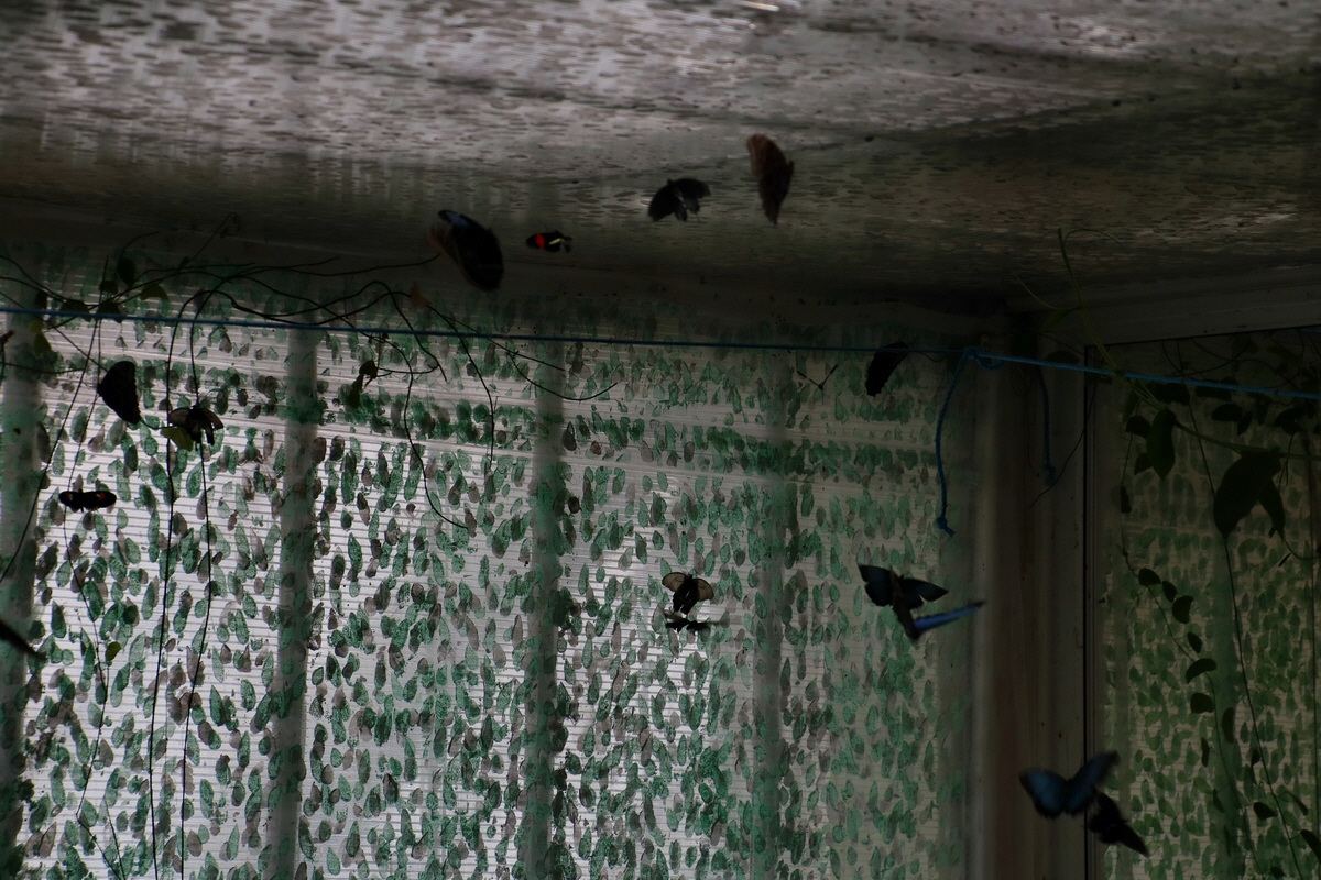 2016_09_07_027925p_Bildgr��e �ndern