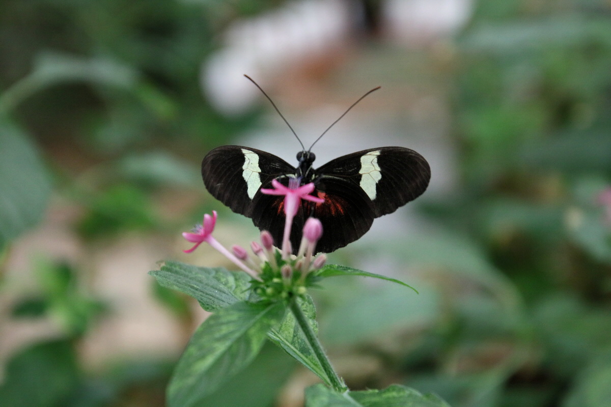 2016_09_07_027933p_Bildgr��e �ndern