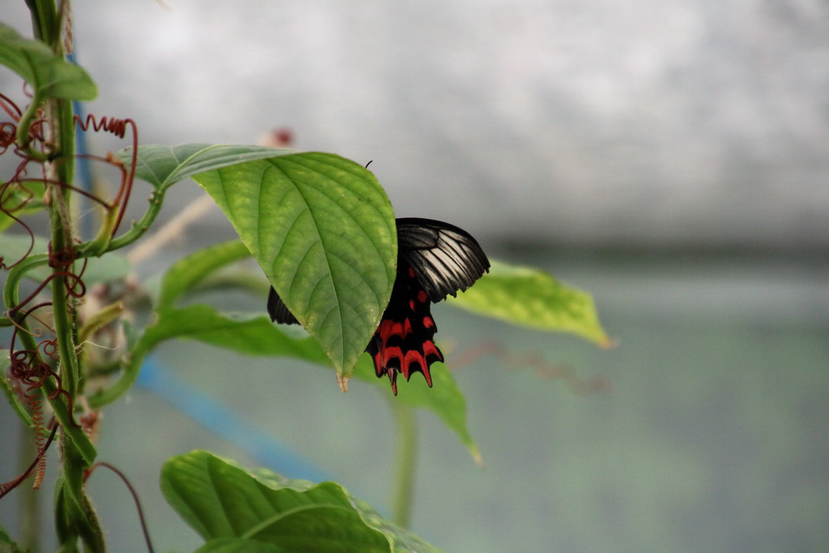 2016_09_07_027936p_Bildgr��e �ndern