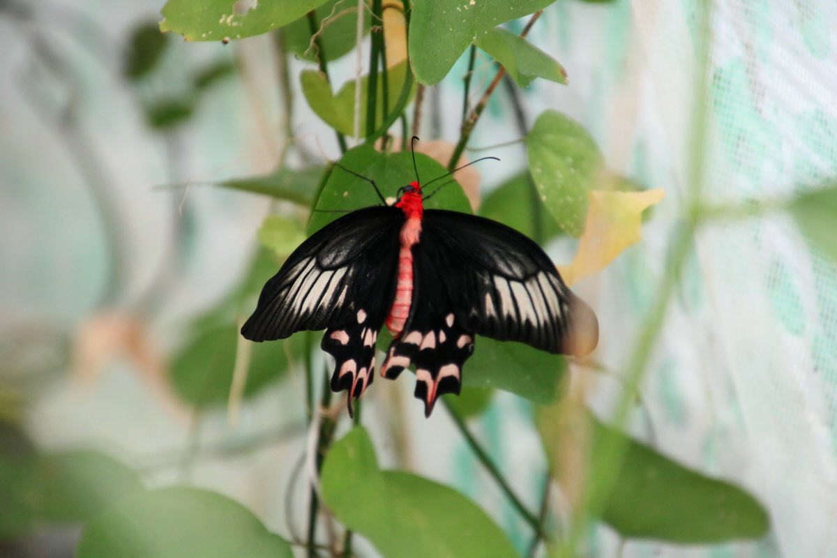 2016_09_07_027939p_Bildgr��e �ndern