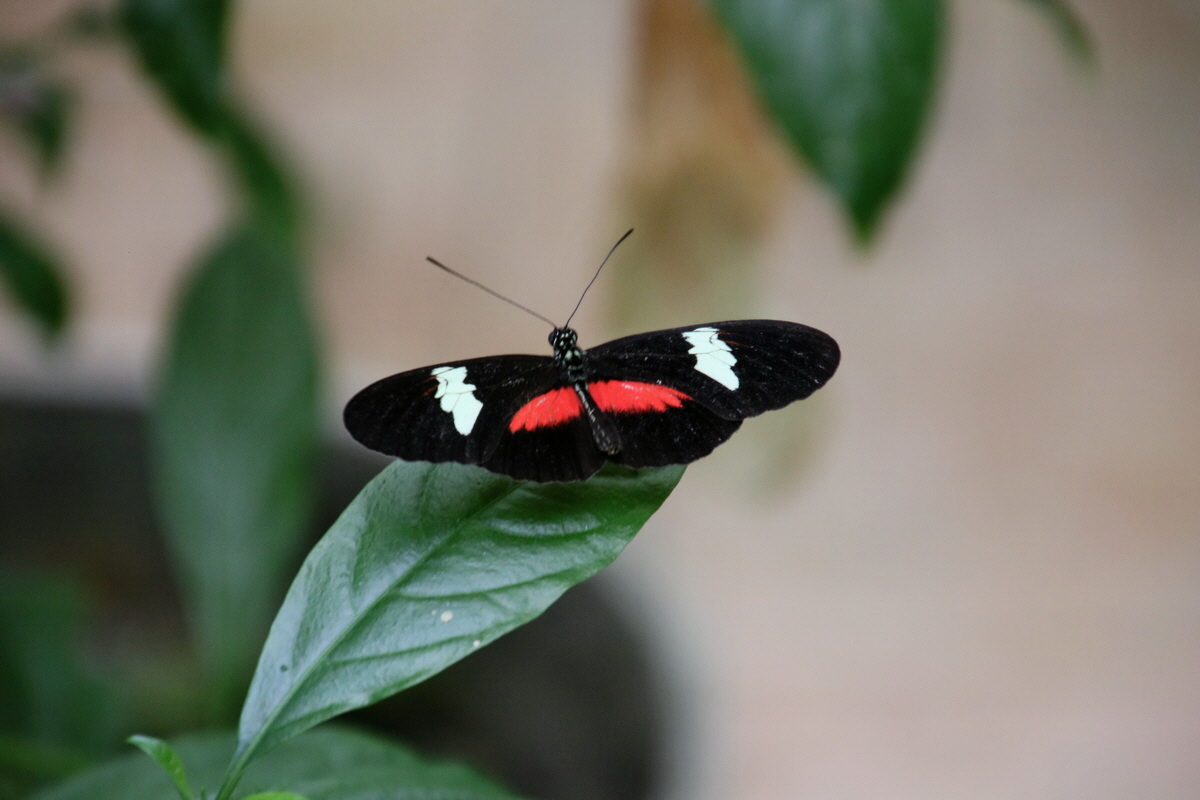 2016_09_07_027944p_Bildgr��e �ndern