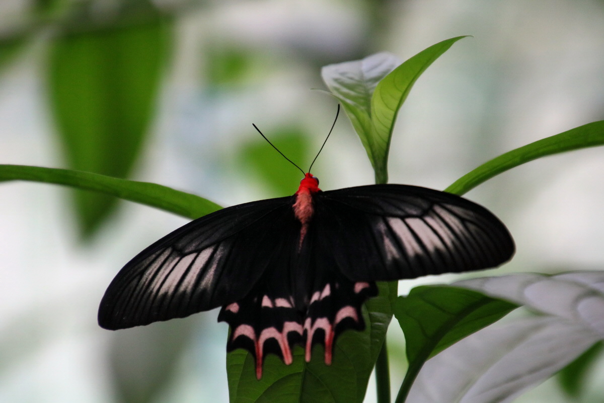 2016_09_07_027953p_Bildgr��e �ndern