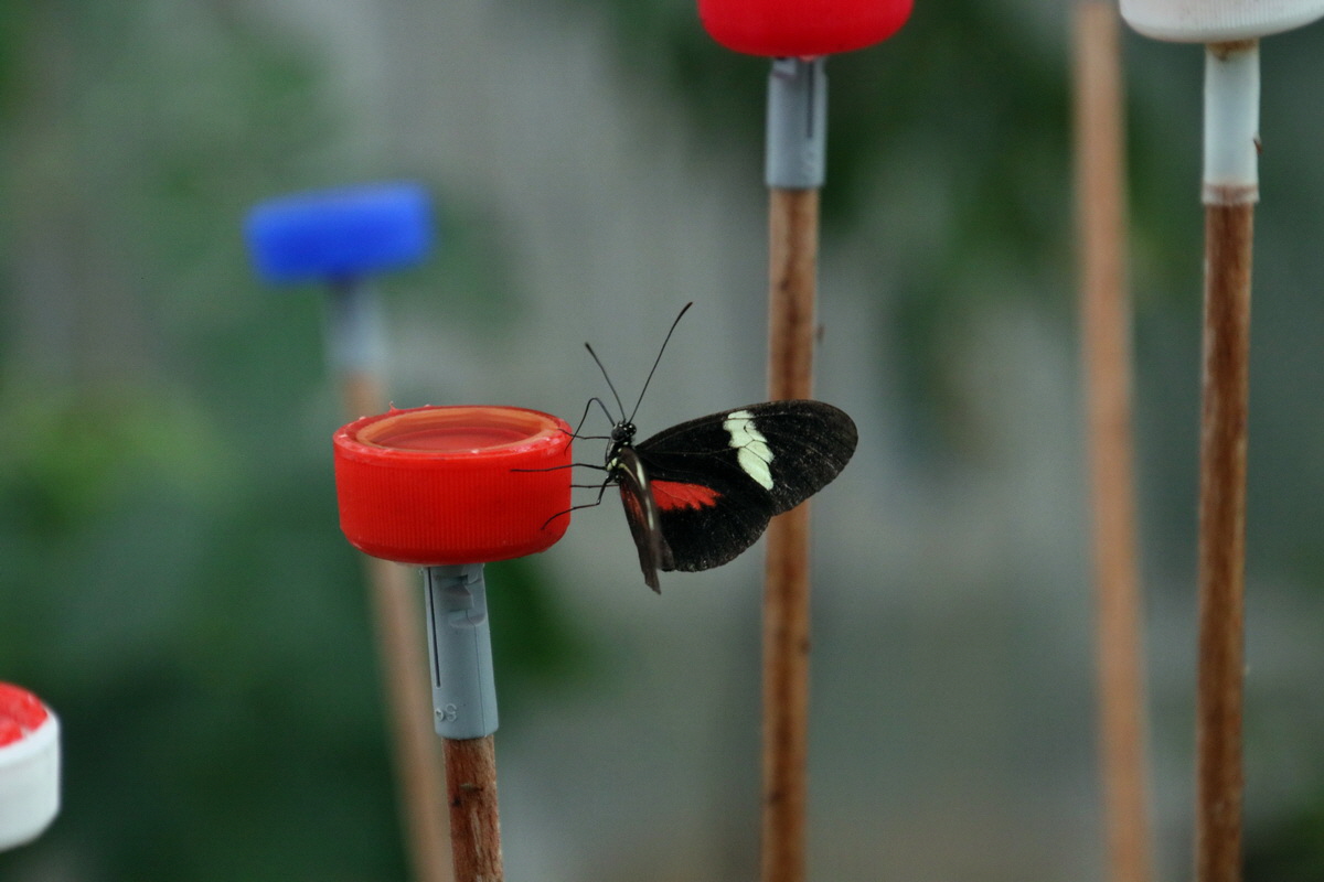 2016_09_07_027981p_Bildgr��e �ndern