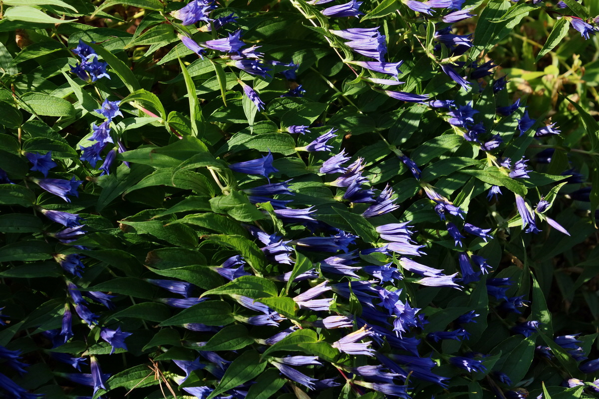 2016_09_08_028135p_Bildgr��e �ndern