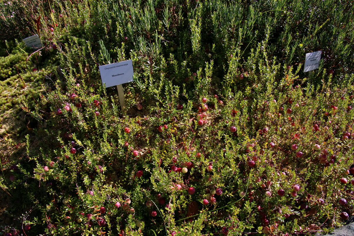 2016_09_08_028137p_Bildgr��e �ndern