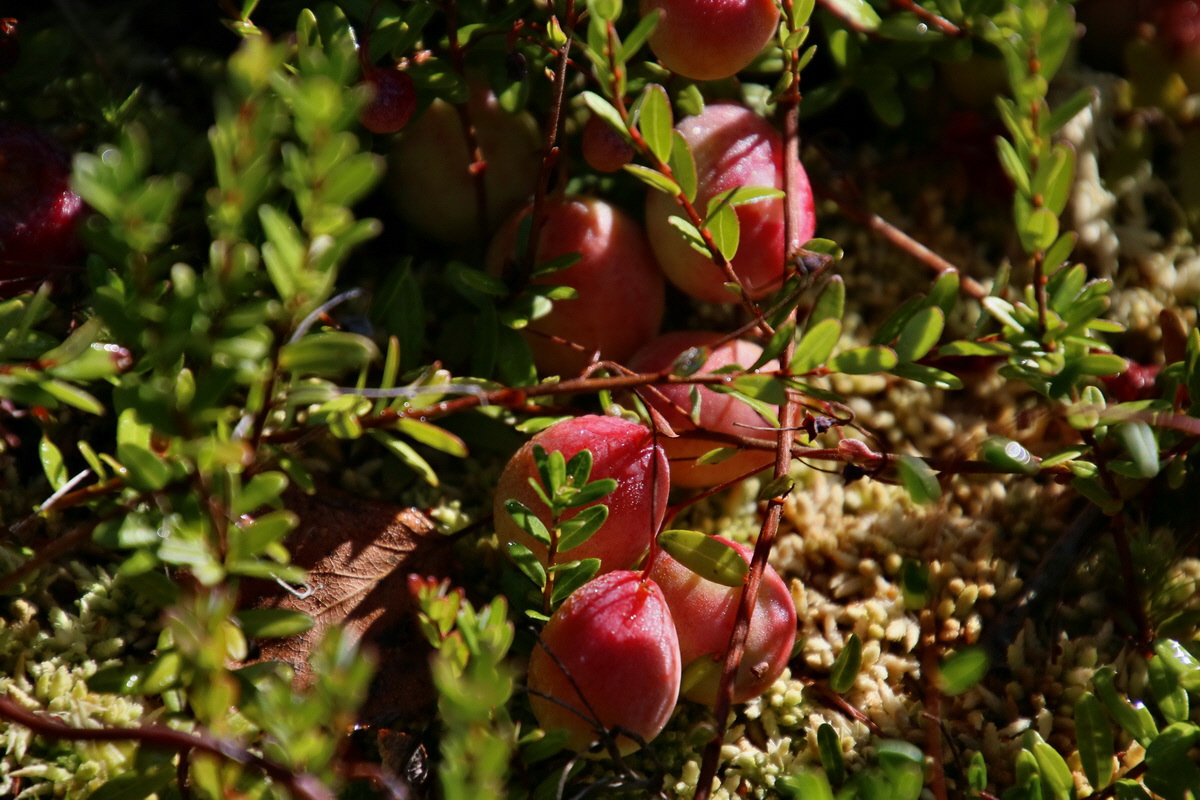 2016_09_08_028140p_Bildgr��e �ndern