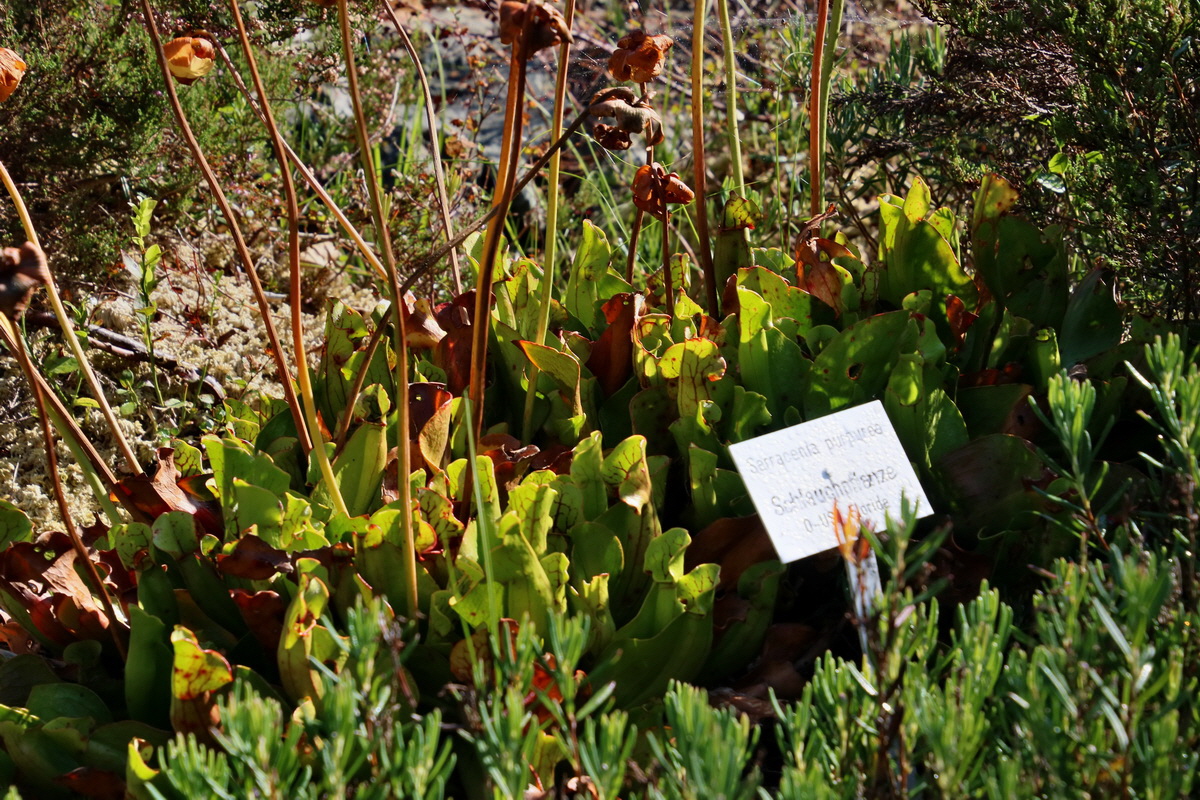 2016_09_08_028146p_Bildgr��e �ndern