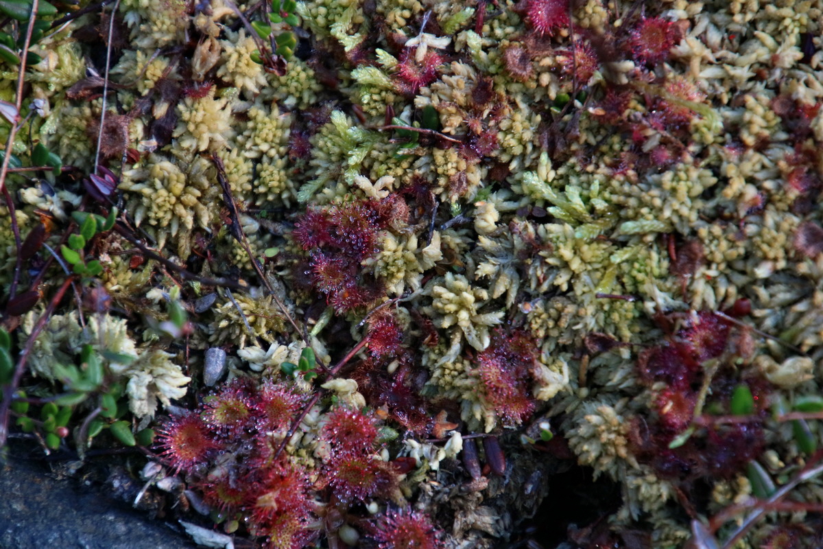 2016_09_08_028158p_Bildgr��e �ndern