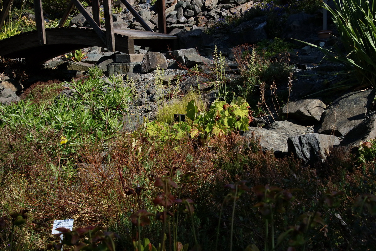 2016_09_08_028161p_Bildgr��e �ndern