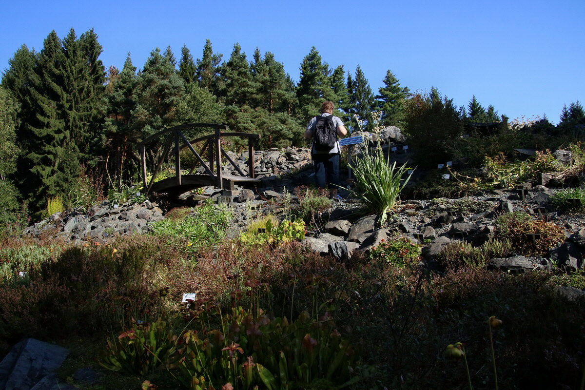 2016_09_08_028163p_Bildgr��e �ndern