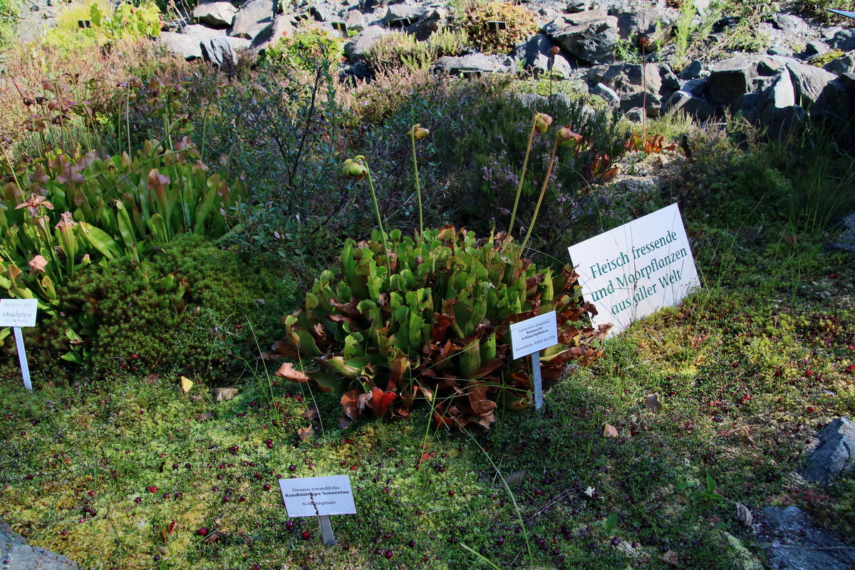 2016_09_08_028165p_Bildgr��e �ndern