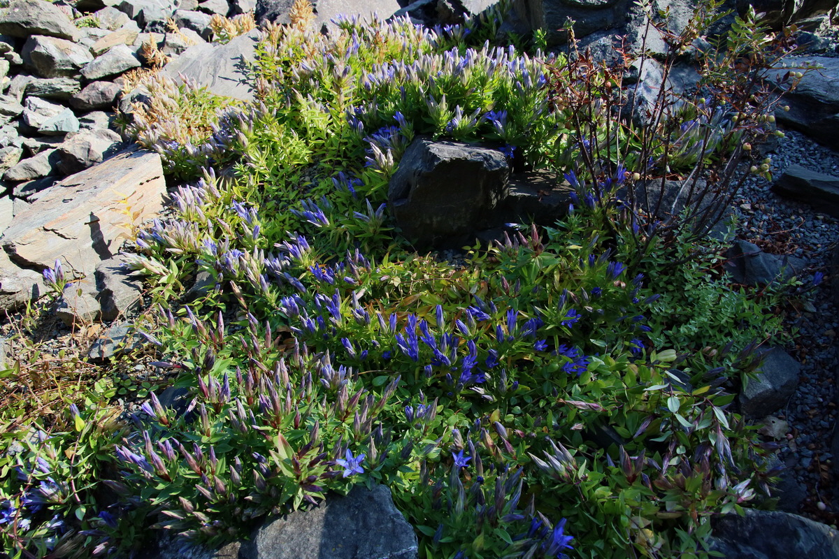 2016_09_08_028169p_Bildgr��e �ndern