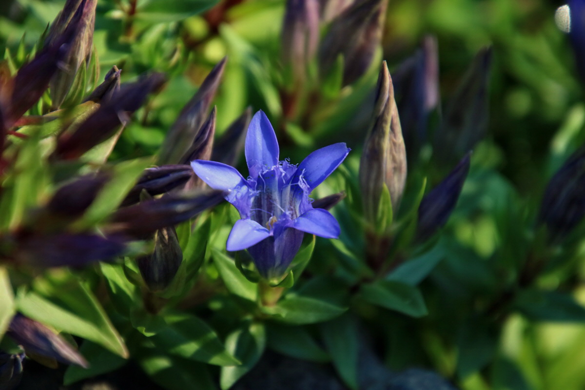 2016_09_08_028170p_Bildgr��e �ndern