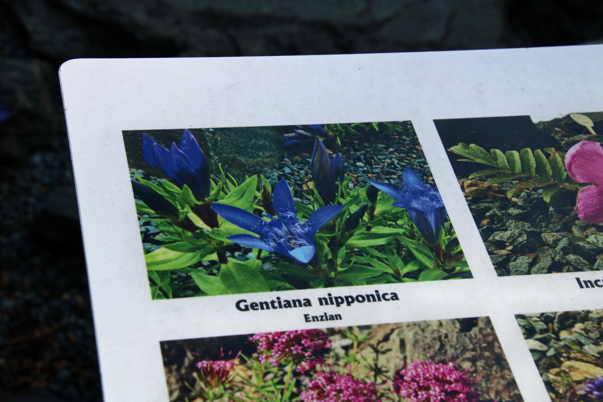 2016_09_08_028173p_Bildgr��e �ndern