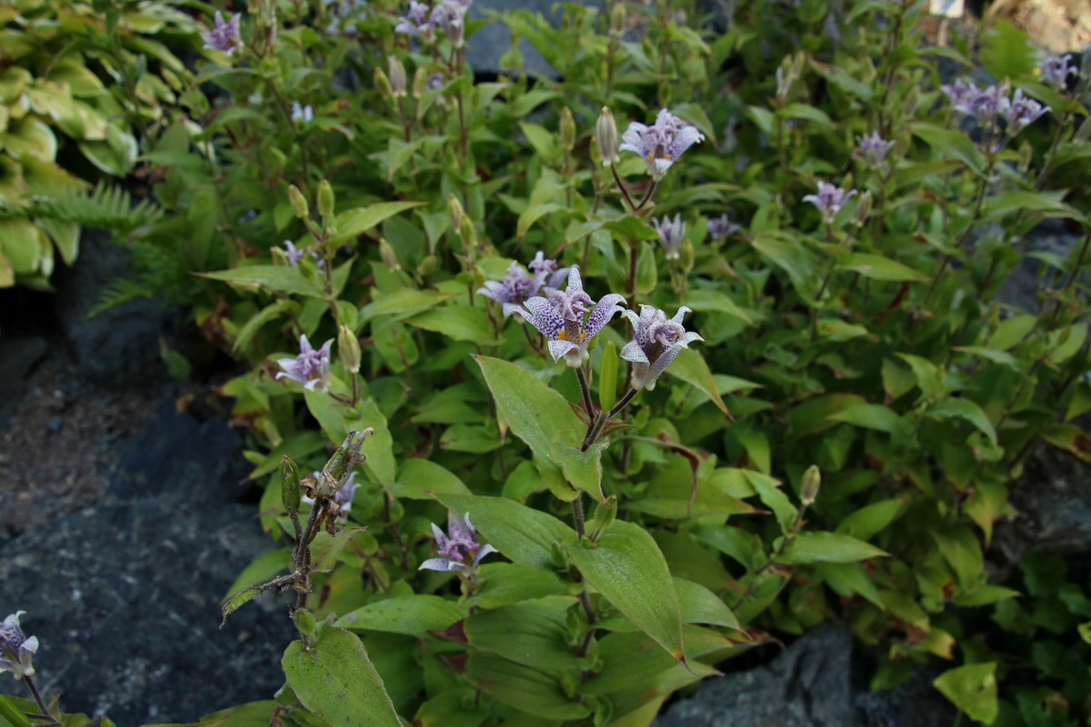 2016_09_08_028198p_Bildgr��e �ndern