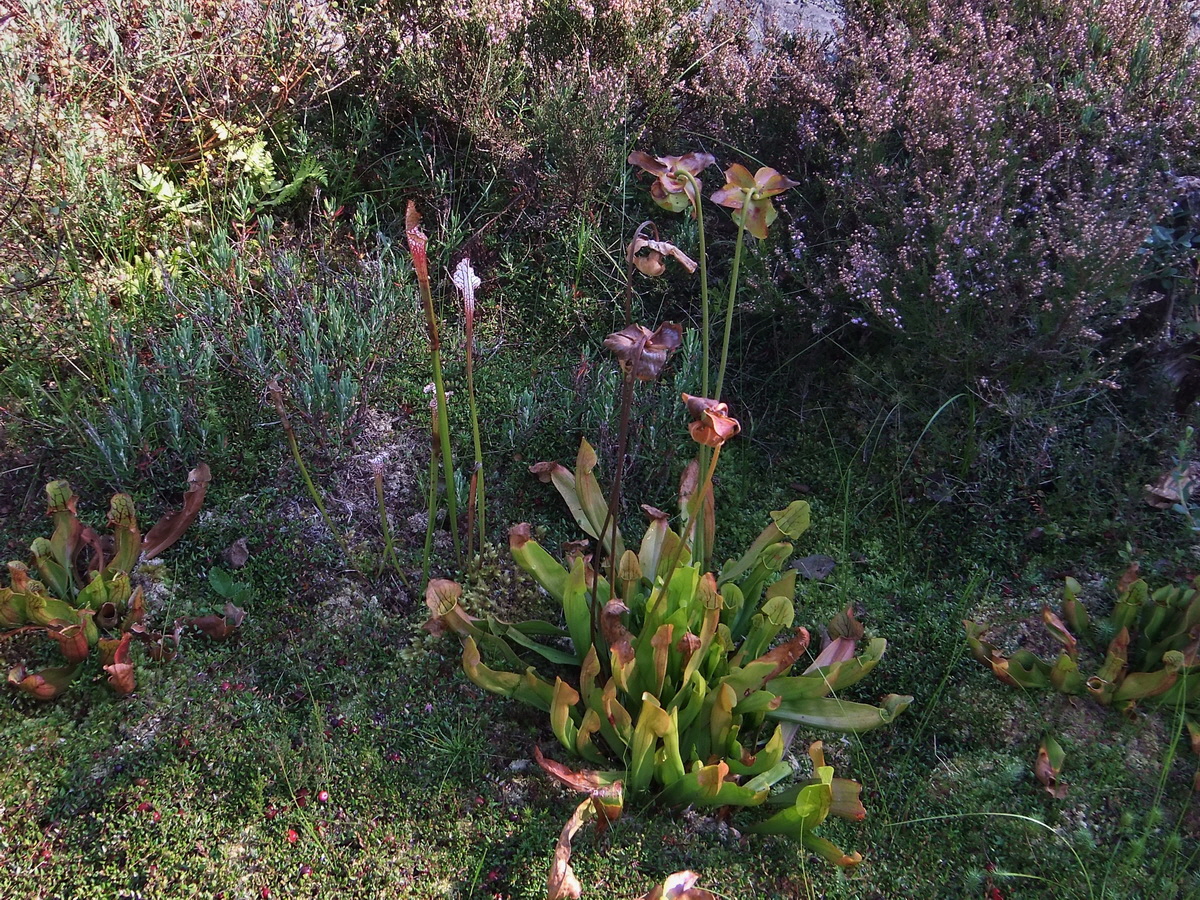 DSCF0519p_Bildgr��e �ndern