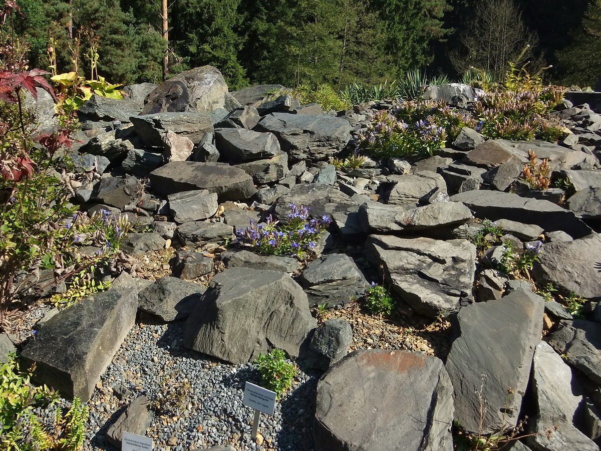 DSCF0528p_Bildgr��e �ndern