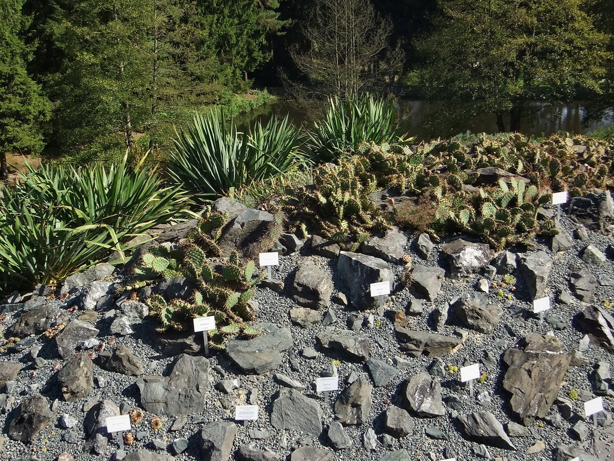 DSCF0532p_Bildgr��e �ndern